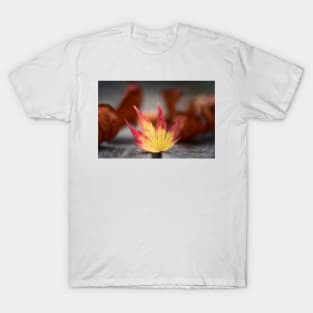 Featured Maple Leaf T-Shirt